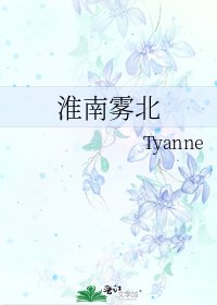 淮南霧北
